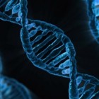 DNA als hulpmiddel bij het oplossen van misdrijven