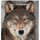 De wijsheid van wolven door Elli H. Radinger