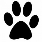 De juiste hond kiezen