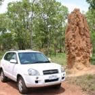 De termietenheuvels van Australië