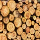 Duurzaam inkopen van hout in vijf stappen