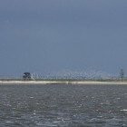 Griend - onbewoond vogeleiland in de Waddenzee