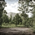 Tsjernobyl en haar natuur