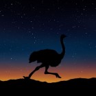 Moa: de grootste vogel die in Nieuw Zeeland heeft geleefd