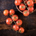Het kweken van tomaten