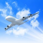 Emigreren en reizen met je huisdier per vliegtuig
