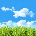 Wolken lezen: welke soorten wolken bestaan er