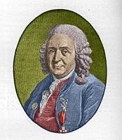 Linnaeus / Bron: Jan Arkesteijn, Wikimedia Commons (Publiek domein)