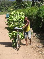 Bananentransport in Tanzania / Bron: Sanderflight, Wikimedia Commons (Publiek domein)