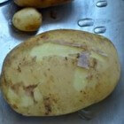 Nieuwe aardappelen, een delicatesse!