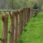 Paddock Paradise – een paradijs voor paarden