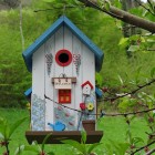 Vogelhuisjes: vogelsoort, materiaal en design