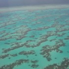Great Barrier Reef – bedreigd werelderfgoed bij Queensland