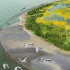 Marker Wadden – eilanden in de Markermeer