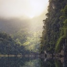 Het regenwoud: ontbossing bedreigt regenwouden