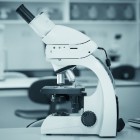 Bacteriële huidinfecties bij paarden