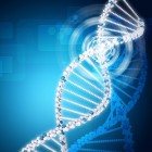 DNA-onderzoek bij rashonden: Nuttig en noodzakelijk?