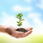 Milieubewust zijn: tips voor een groen leven