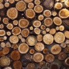 Tropisch hardhout of milieuvriendelijk en duurzaam hout?