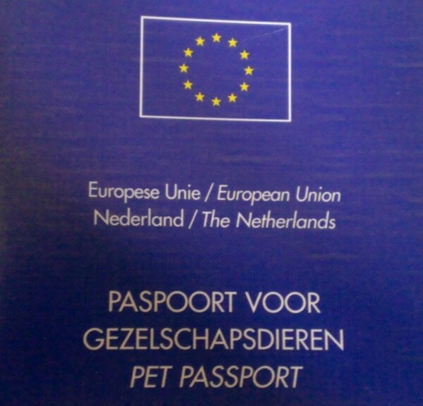 Source: Passport own animals - Anna language