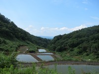 Mudponds in Japan, rijk aan natuurlijke voeding
