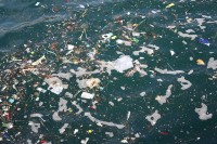 Heel wat plastic drijft in zee en is mede de oorzaak van de wereldwijde plasticvervuiling op zee. / Bron: Giogio55, Pixabay