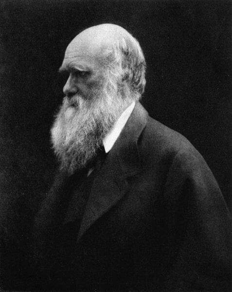 Charles Darwin / Source: Julia Margaret Cameron, Wikimedia Commons (Public Domain)
