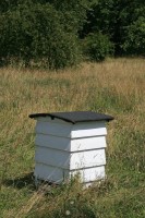 Tegenwoordig zijn de meeste bijenkorven eigenlijk bijenkasten / Bron: Micromoth, Rgbstock