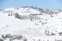 Sneeuw in Galilea komt niet vaak voor in de winter / Bron: Onbekend, Wikimedia Commons (CC BY-SA-3.0)