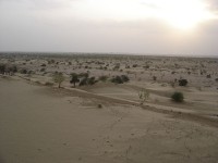 De woestijn / Bron: Gérard Janot, Wikimedia Commons (CC BY-SA-3.0)