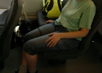 Een geleidehond in de trein mag ook niet gestoord worden / Bron: Kim Bols