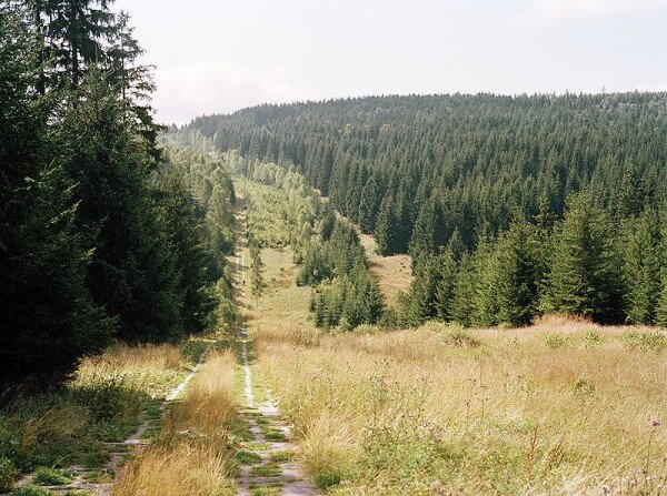 The border strip at Sorge, in the Harz / Source: Nickel van Duijvenboden, Wikimedia Commons (CC BY-3.0)