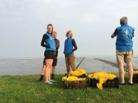 Op de dijk bij Uithuizen, het zeegras zit in de gele zakken / Bron: Persbureau Ameland