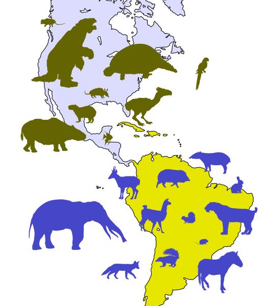 This map shows the migration of South American animals to North America and vice versa.  Blue represents animals of North American descent and green represents animals with South American roots / Source: Woudloper, Wikimedia Commons (CC BY-SA-1.0)