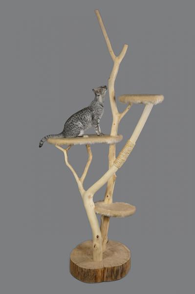 A cat tower that imitates the tree climbing experience / Source: Marjoleiny, Pixabay