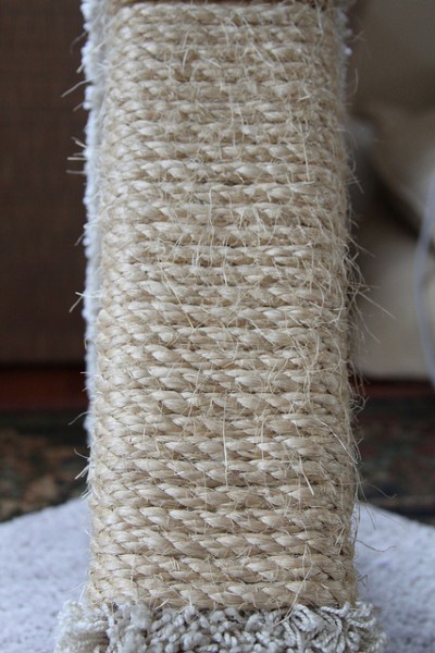 Most scratching posts are wrapped with sisal rope, a material that cats like to plant their nails in / Source: Gudlyf, Flickr (CC BY-2.0)